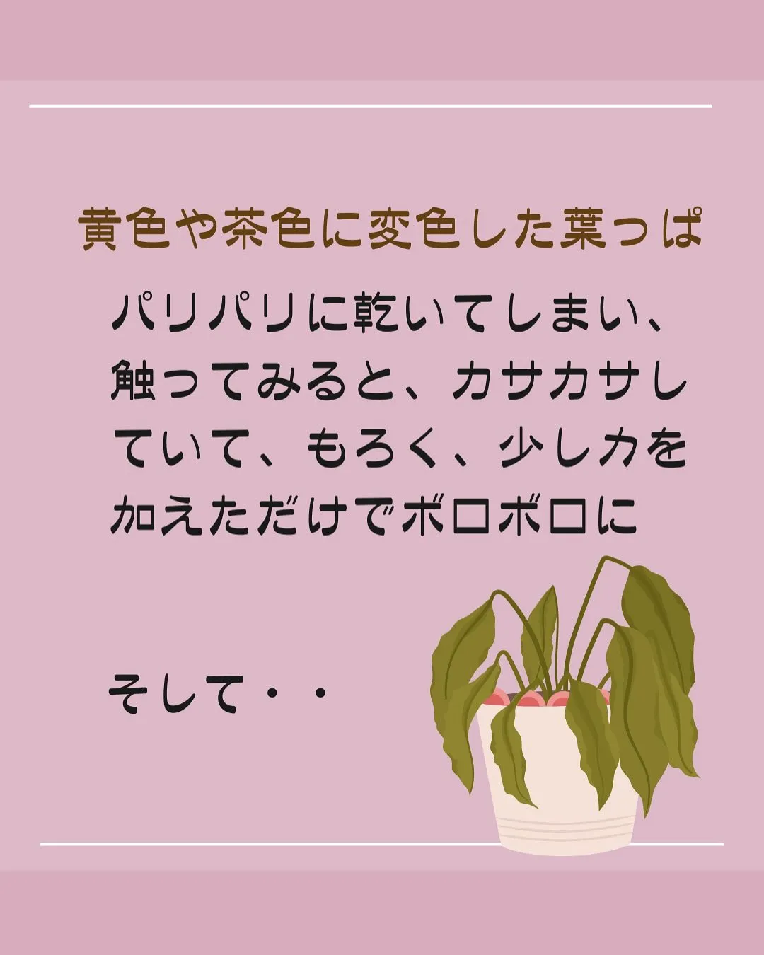 日焼けと肌の水分量の関係！