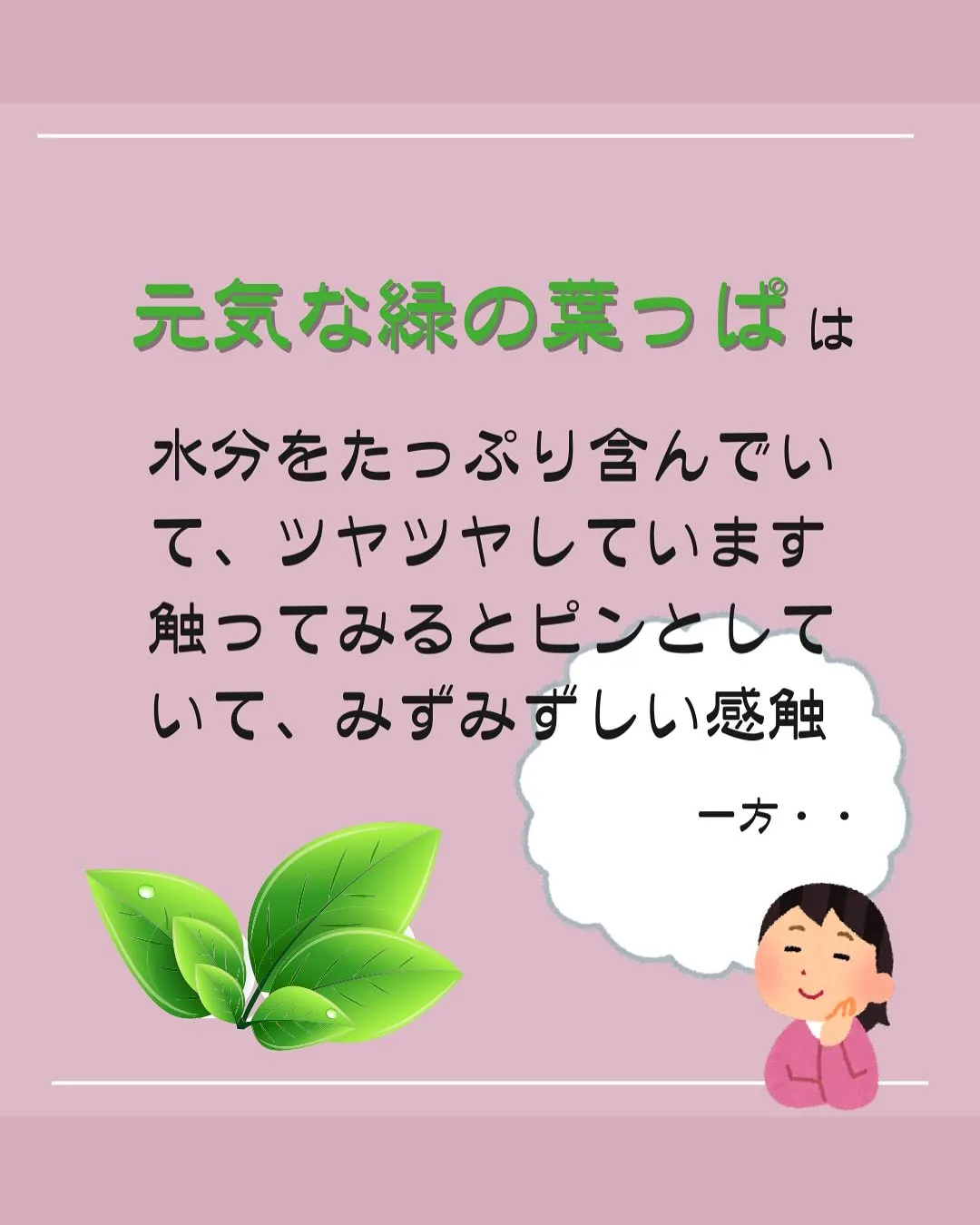 日焼けと肌の水分量の関係！
