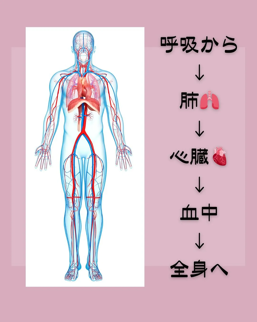 100倍〜10000倍何の数字？