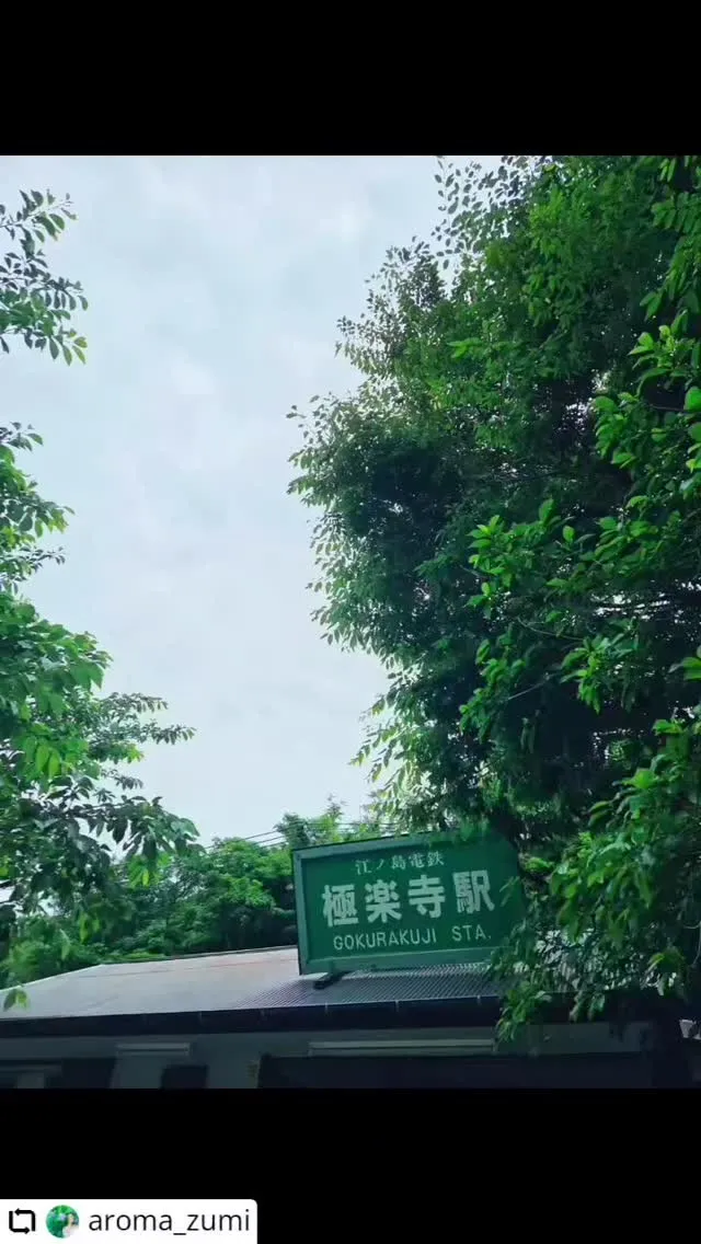 ご紹介いただき誠にありがとうございます✨