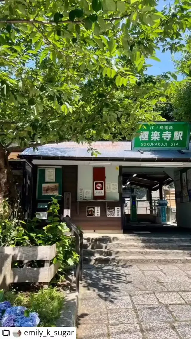 ご紹介いただき誠にありがとうございます✨